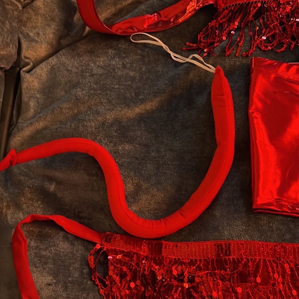 Sexy Devil Costume With Accessories - image 2